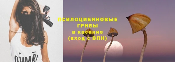 шишки Алексеевка