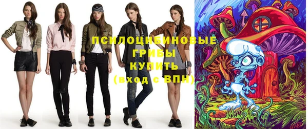 шишки Алексеевка