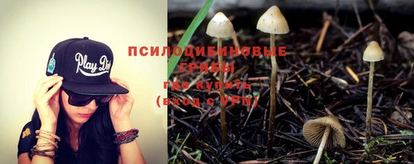 шишки Алексеевка