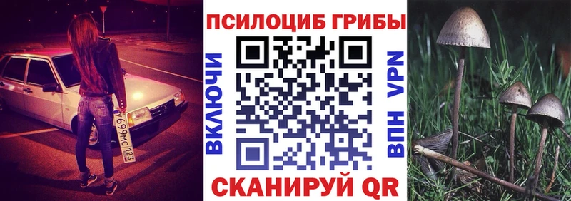 Галлюциногенные грибы Psilocybine cubensis что такое наркотик маркетплейс формула Трубчевск