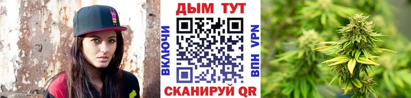 купить наркотик  Трубчевск  Бошки Шишки White Widow 